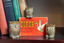 Load image into Gallery viewer, Brass Owl Figurines Vintage Gold Small Bird Set - Eagle&#39;s Eye Finds
