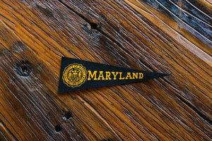 University of Maryland Mini Felt Pennant Vintage College Wall Decor - Eagle's Eye Finds