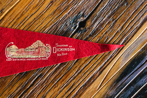 Roosevelt National Park Dickinson North Dakota Felt Pennant Vintage Wall Decor - Eagle's Eye Finds