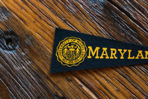 University of Maryland Mini Felt Pennant Vintage College Wall Decor - Eagle's Eye Finds