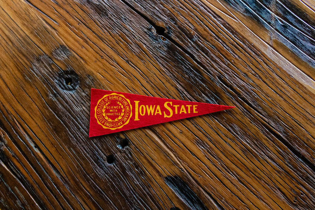 Iowa State Mini Felt Pennant Vintage College Wall Decor - Eagle's Eye Finds