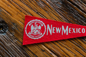 University of New Mexico Mini Felt Pennant Vintage College Decor - Eagle's Eye Finds