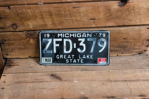 Michigan 1979 Great Lake State License Plate Vintage Wall Hanging Decor - Eagle's Eye Finds