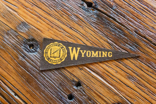 University of Wyoming Mini Felt Pennant Vintage College Decor - Eagle's Eye Finds