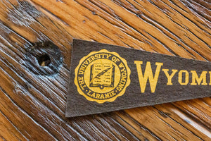 University of Wyoming Mini Felt Pennant Vintage College Decor - Eagle's Eye Finds