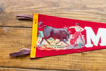 Load image into Gallery viewer, Mexico Red Felt Pennant Vintage Wall Decor - Eagle&#39;s Eye Finds
