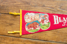 Load image into Gallery viewer, Black Hills South Dakota Large Red Felt Pennant Vintage Wall Hanging Decor - Eagle&#39;s Eye Finds
