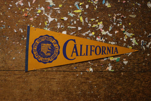 University of California Felt Pennant Vintage College Decor - Eagle's Eye Finds
