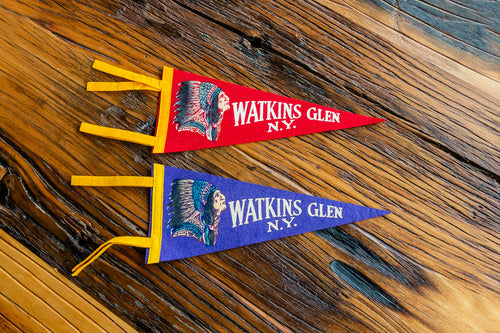 Watkins Glen State Park New York Felt Pennant Vintage Wall Decor - Eagle's Eye Finds