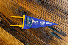 Load image into Gallery viewer, Watkins Glen State Park New York Felt Pennant Vintage Wall Decor - Eagle&#39;s Eye Finds
