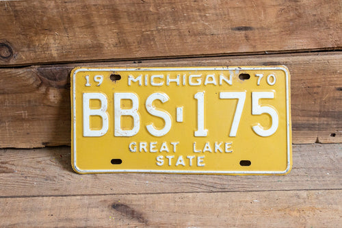 Michigan 1970 Great Lake State License Plate Vintage Wall Hanging Decor - Eagle's Eye Finds