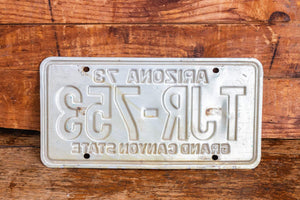 Arizona 1973 License Plate Vintage Grand Canyon State Wall Hanging Decor - Eagle's Eye Finds