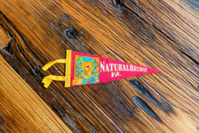 Load image into Gallery viewer, Natural Bridge Virginia Felt Pennant Vintage Wall Decor - Eagle&#39;s Eye Finds
