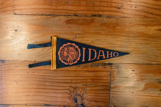 University of Idaho Mini Black Felt Pennant Vintage College Decor - Eagle's Eye Finds