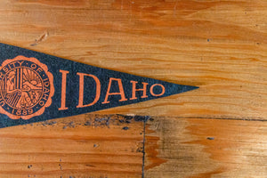 University of Idaho Mini Black Felt Pennant Vintage College Decor - Eagle's Eye Finds