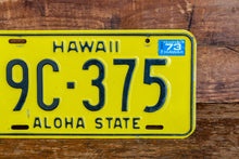 Load image into Gallery viewer, Hawaii 1969 1973 License Plate Vintage Wall Hanging Decor - Eagle&#39;s Eye Finds
