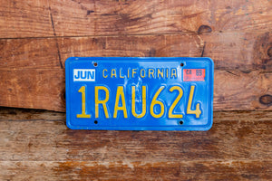 California 1989 License Plate Vintage Wall Hanging Decor - Eagle's Eye Finds