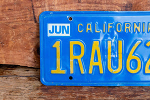 California 1989 License Plate Vintage Wall Hanging Decor - Eagle's Eye Finds