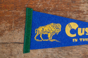 Custer in the Black Hills South Dakota Blue Felt Pennant Vintage Wall Hanging Decor - Eagle's Eye Finds