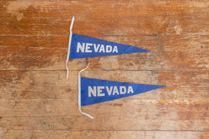 University of Nevada Felt Pennant Vintage Dorm Decor - Eagle's Eye Finds