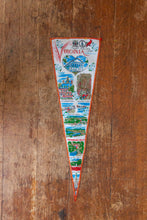 Load image into Gallery viewer, Virginia State Vertical Felt Pennant Vintage Wall Decor - Eagle&#39;s Eye Finds
