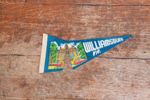 Load image into Gallery viewer, Williamsburg Virginia Blue Felt Pennant Vintage Wall Hanging Decor - Eagle&#39;s Eye Finds
