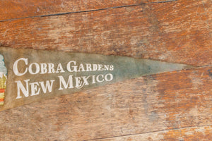 Cobra Gardens New Mexico Gray Felt Pennant Vintage Snake Wall Hanging Decor - Eagle's Eye Finds