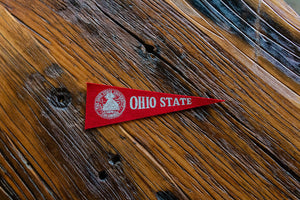 The Ohio State University Mini Felt Pennant Vintage College Wall Decor - Eagle's Eye Finds