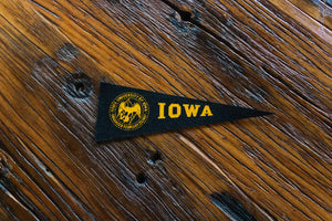 University of Iowa Felt Pennant Vintage College Wall Decor - Eagle's Eye Finds