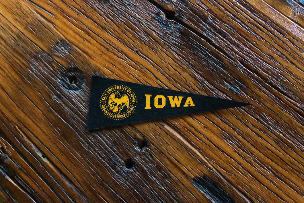University of Iowa Felt Pennant Vintage College Wall Decor - Eagle's Eye Finds