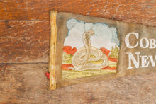 Load image into Gallery viewer, Cobra Gardens New Mexico Gray Felt Pennant Vintage Snake Wall Hanging Decor - Eagle&#39;s Eye Finds
