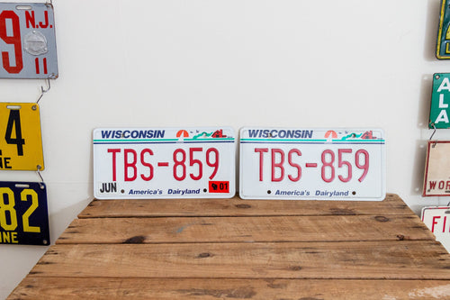 Wisconsin TBS License Plate Pair Vintage Wall Hanging Decor - Eagle's Eye Finds