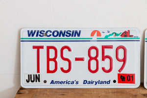 Wisconsin TBS License Plate Pair Vintage Wall Hanging Decor - Eagle's Eye Finds
