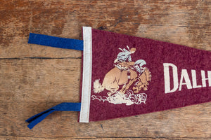 Dalhart Texas Cowboy Felt Pennant Vintage Maroon TX Wall Decor - Eagle's Eye Finds