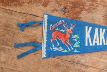 Load image into Gallery viewer, Kakabeka Falls Ontario Canada Vintage Blue Felt Pennant - Eagle&#39;s Eye Finds
