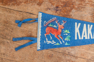 Kakabeka Falls Ontario Canada Vintage Blue Felt Pennant - Eagle's Eye Finds