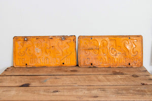 Colorado 1957 License Plate Pair Vintage Wall Hanging Decor - Eagle's Eye Finds