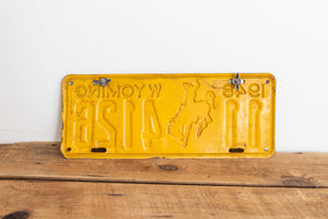 Wyoming 1948 License Plate Pair Vintage Wall Hanging Decor - Eagle's Eye Finds
