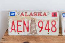 Load image into Gallery viewer, Alaska 1976 License Plate Pair Vintage 1981 Wall Decor - Eagle&#39;s Eye Finds
