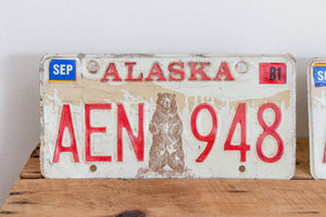 Alaska 1976 License Plate Pair Vintage 1981 Wall Decor - Eagle's Eye Finds