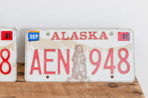 Alaska 1976 License Plate Pair Vintage 1981 Wall Decor - Eagle's Eye Finds