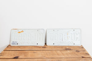 Colorado 1977 License Plate Pair Vintage Wall Hanging Decor - Eagle's Eye Finds