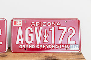 Arizona 1982 Grand Canyon State License Plate Vintage Wall Hanging Decor - Eagle's Eye Finds