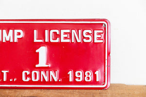 Connecticut 1981 Dump License Plate Vintage Red Wall Hanging Decor - Eagle's Eye Finds