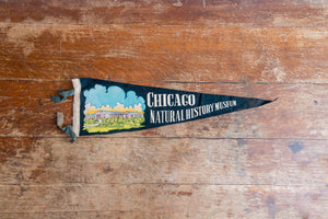 Chicago Natural History Museum Felt Pennant Vintage Black Illinois Wall Hanging Decor - Eagle's Eye Finds