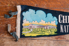 Load image into Gallery viewer, Chicago Natural History Museum Felt Pennant Vintage Black Illinois Wall Hanging Decor - Eagle&#39;s Eye Finds
