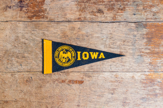 University of Iowa Felt Pennant Vintage Mini College Wall Decor - Eagle's Eye Finds