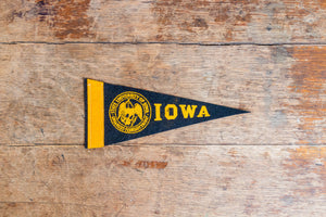 University of Iowa Felt Pennant Vintage Mini College Wall Decor - Eagle's Eye Finds