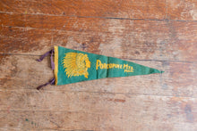 Load image into Gallery viewer, Porcupine Mountains Michigan Felt Pennant Vintage Green Native American Wall Decor - Eagle&#39;s Eye Finds
