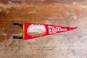 Shedd Aquarium Chicago Felt Pennant Vintage Illinois Wall Hanging Decor - Eagle's Eye Finds